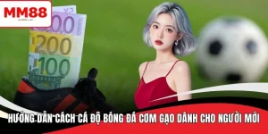 cách cá độ bóng đá cơm gạo