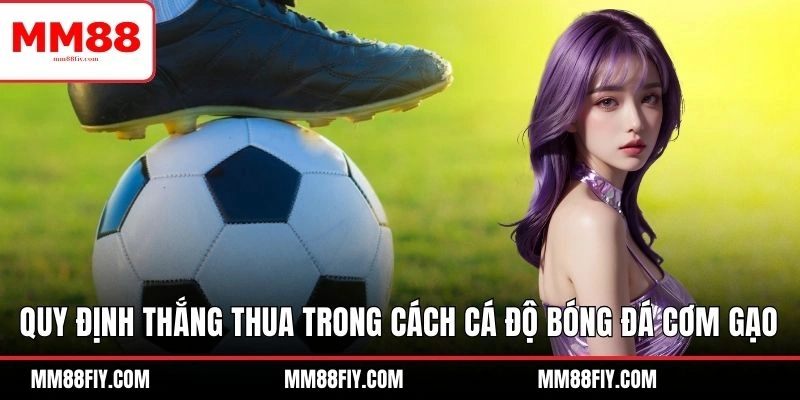 Hướng Dẫn Cách Cá Độ Bóng Đá Cơm Gạo Dành Cho Người Mới 5 Quy định thắng thua trong cách cá độ bóng đá cơm gạo